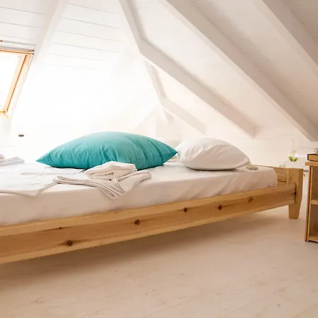 Thassos 别墅 利迈纳里亚